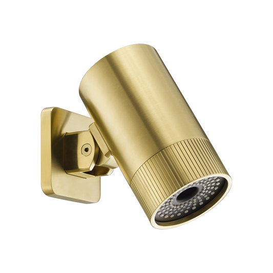 rainfall_shower_head_gold_TRLU3SHBBR 1000