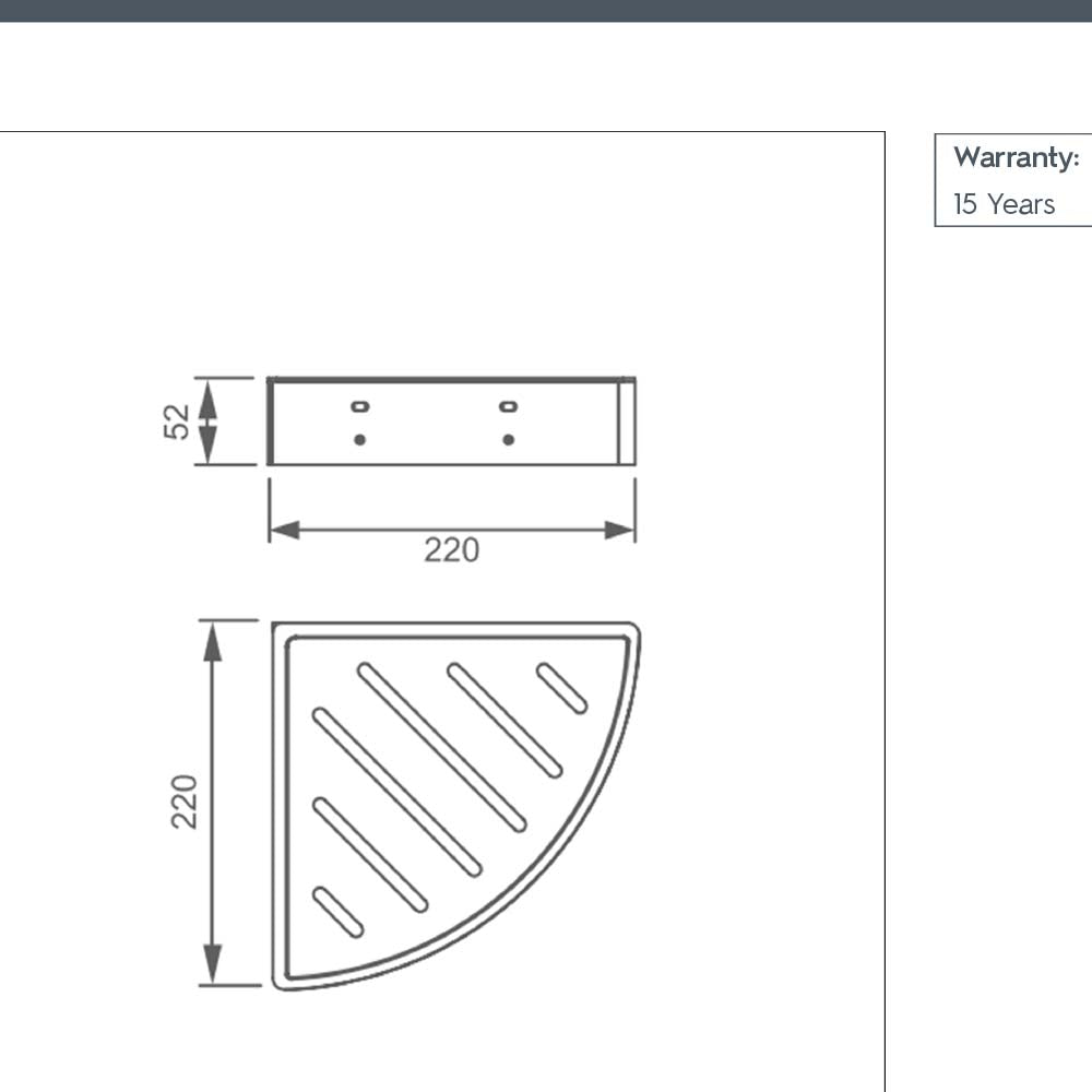 shower basket with shelf