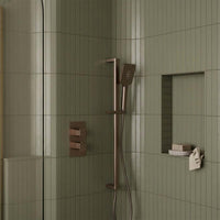 shower riser rail brushed bronze