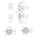 Brushed Brass shower valve Tapron UK