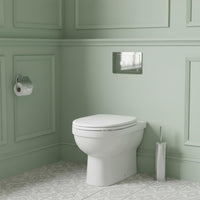 traditional dual flush plate - chrome