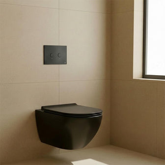 wall hung toilet with black flush plate and dual flush concealed cistern with frame Main image
