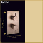 Bronze 2 outlet concealed shower valve-Tapron