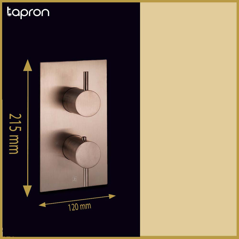 Bronze 2 outlet concealed shower valve-Tapron