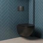 wall mounted toilet with brushed black flush plate and concealed cistern