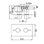 Thermostatic 2 Outlet Shower Valve tapron