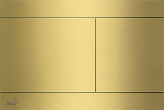 Gold Flush Plate  Main image