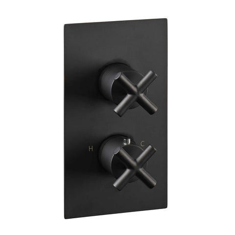 Black Thermostatic Concealed 2 Outlet Shower Valve