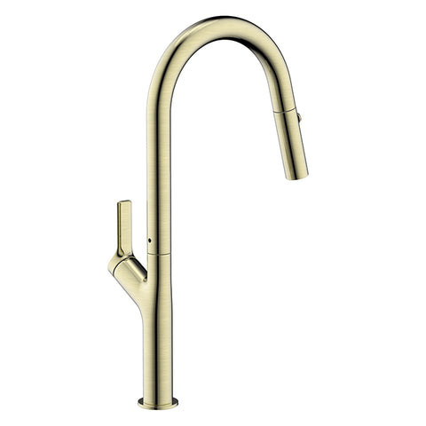 Tapron Brushed Stainless Steel Kitchen Tap with Pull Out Spray - Brushed Brass Finish