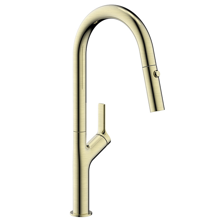 Tapron Brushed Stainless Steel Kitchen Tap with Pull Out Spray - Brushed Brass Finish