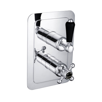 Chester Black Lever Thermostatic Conceal 1 Outlet Shower Valve Vertical [GB 85651] Main image