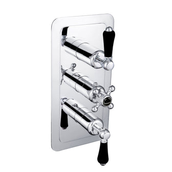 Black Lever Thermostatic Conceal 2 Outlet Shower Valve Vertical [GB85690] Main image