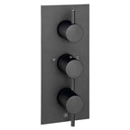Concealed Thermostatic Shower Valve Matt Black-Tapron