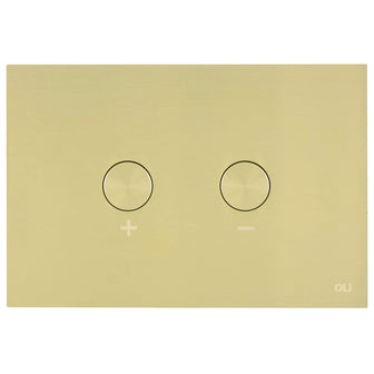 Brushed Brass Toilet Flush Plate Secondary image