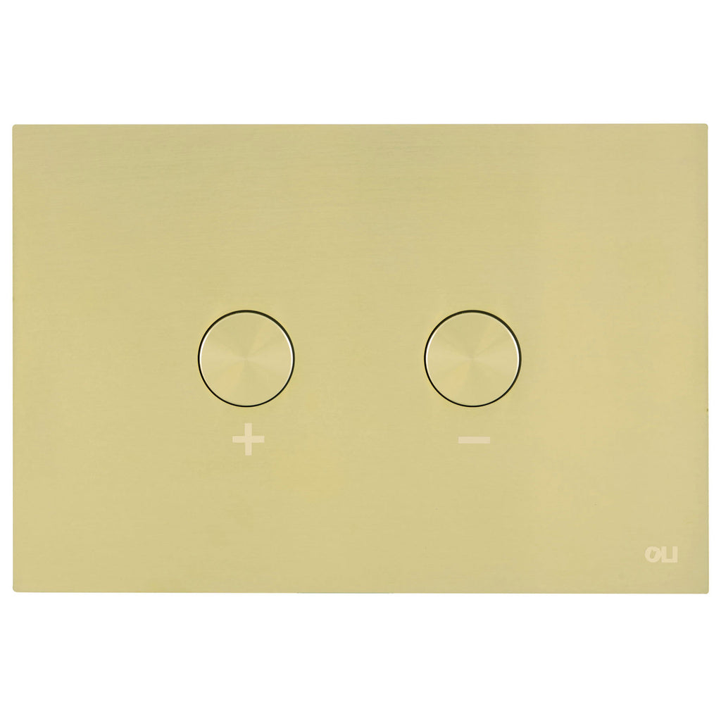 Brushed Gold Flush Plate