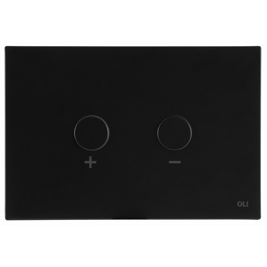 matt black toilet flush plate