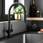 black kitchen tap with pull out spray