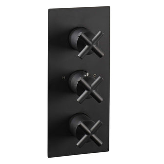 Black Thermostatic Concealed 2 Outlet Shower Valve, Vertical  Main image