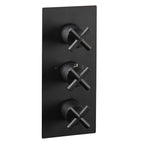  Black Thermostatic Concealed 2 Outlet Shower Valve, Vertical 