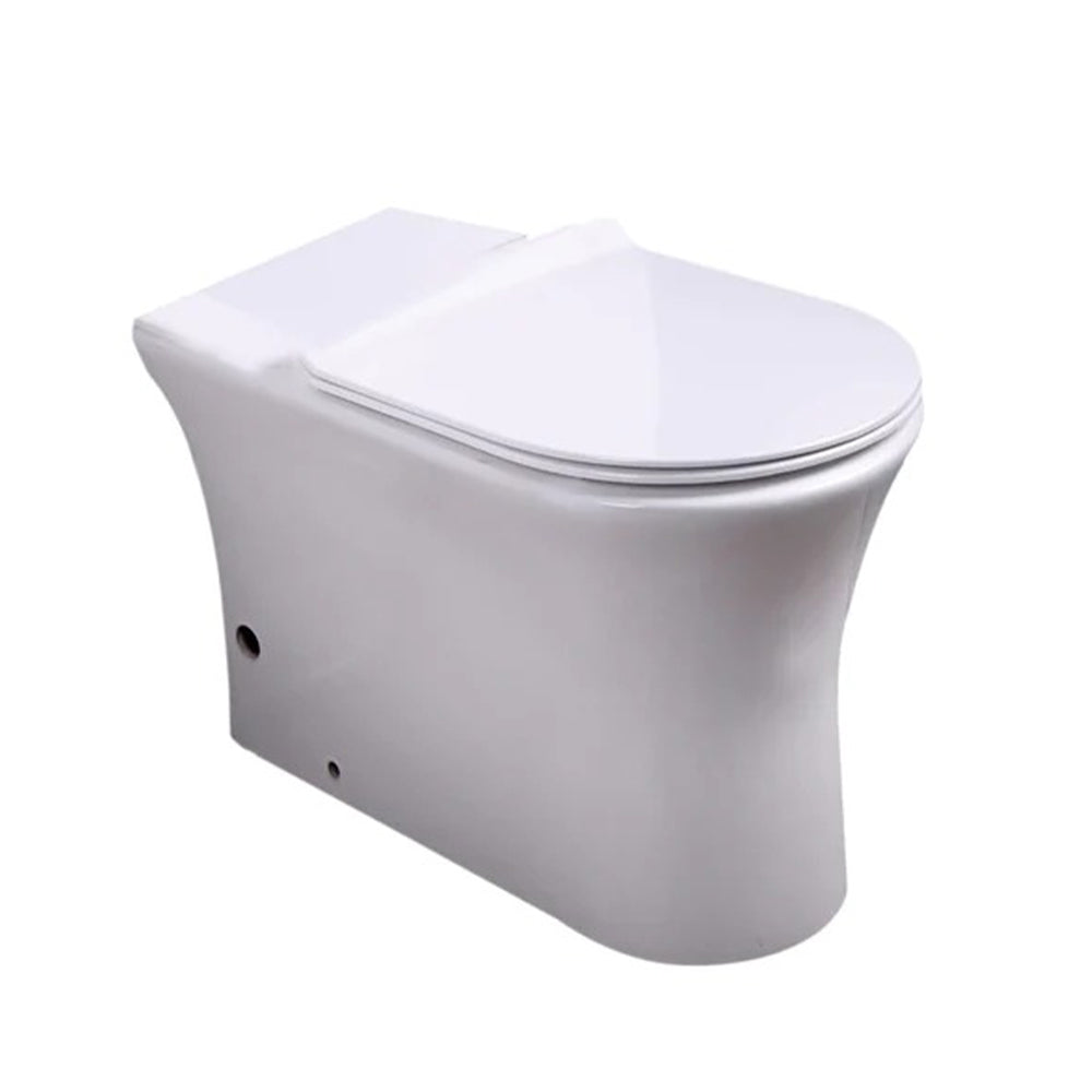 Modern Rimless Back to Wall Toilet with Soft Close Seat-tapron