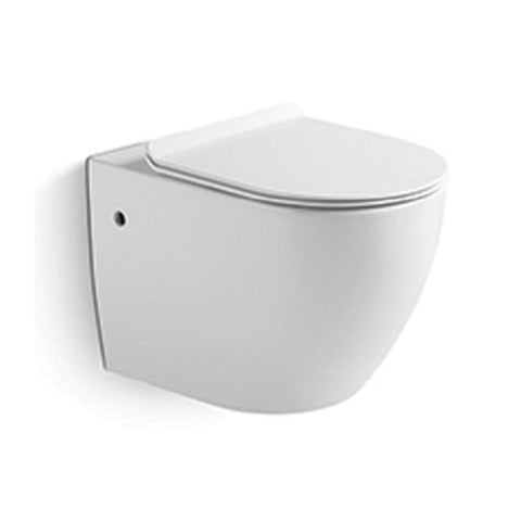 Luxurious Wall Hung WC Set with Soft Close UF-Tapron