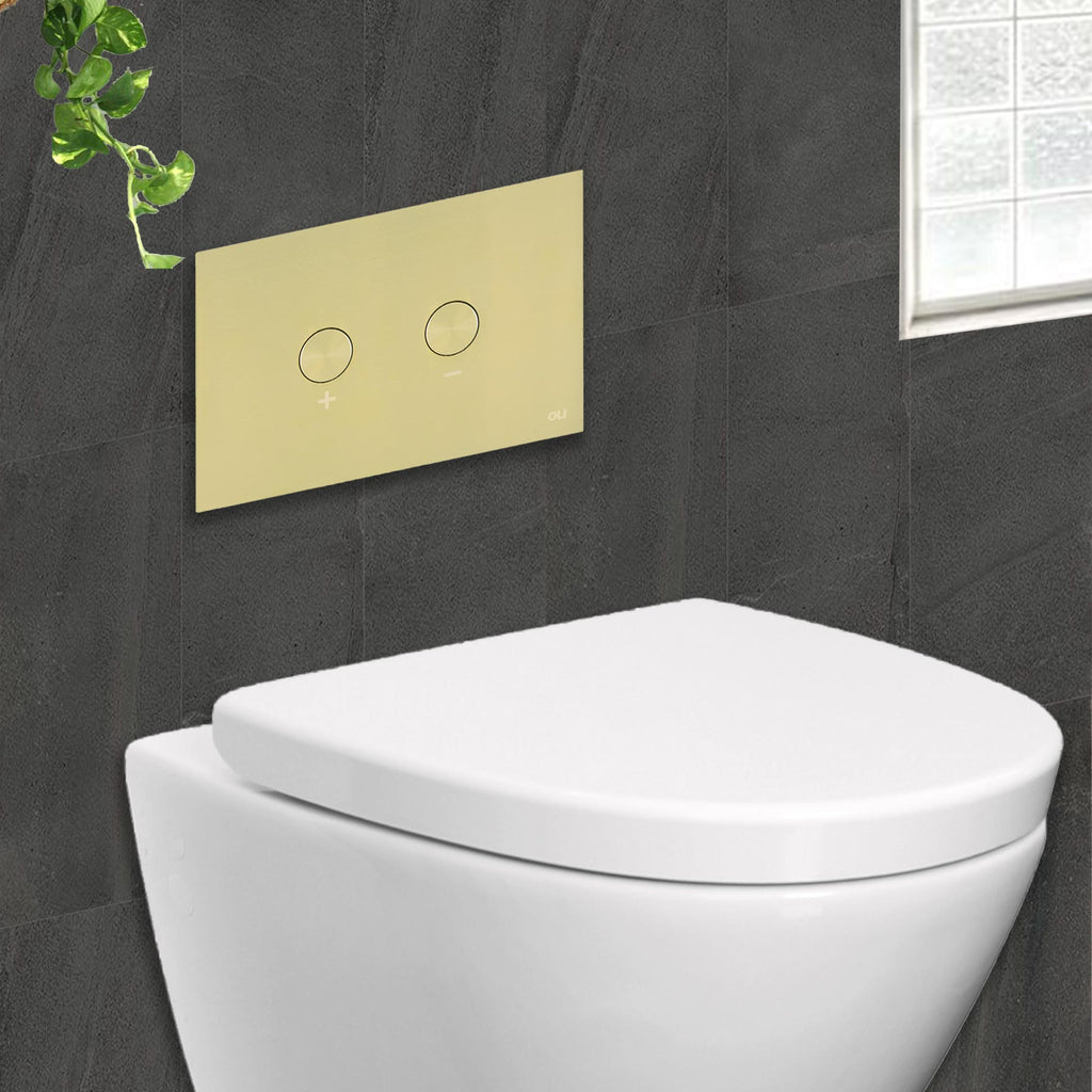 brushed gold toilet flush plate