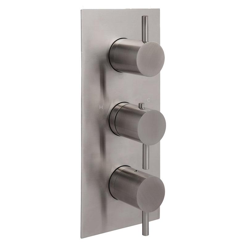 Stainless Steel Thermostatic Shower Valve | tapron