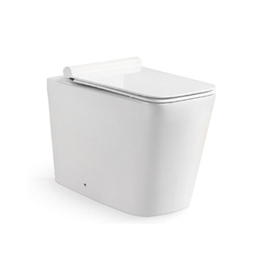 Back to Wall Toilet with Soft Close UF Seat Cover -Tapron Main image