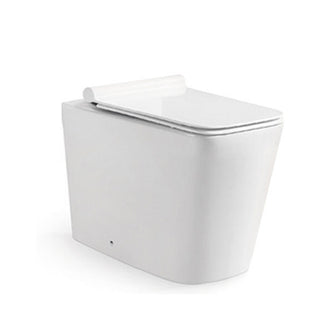 Back to Wall Toilet with Soft Close UF Seat Cover -Tapron Main image