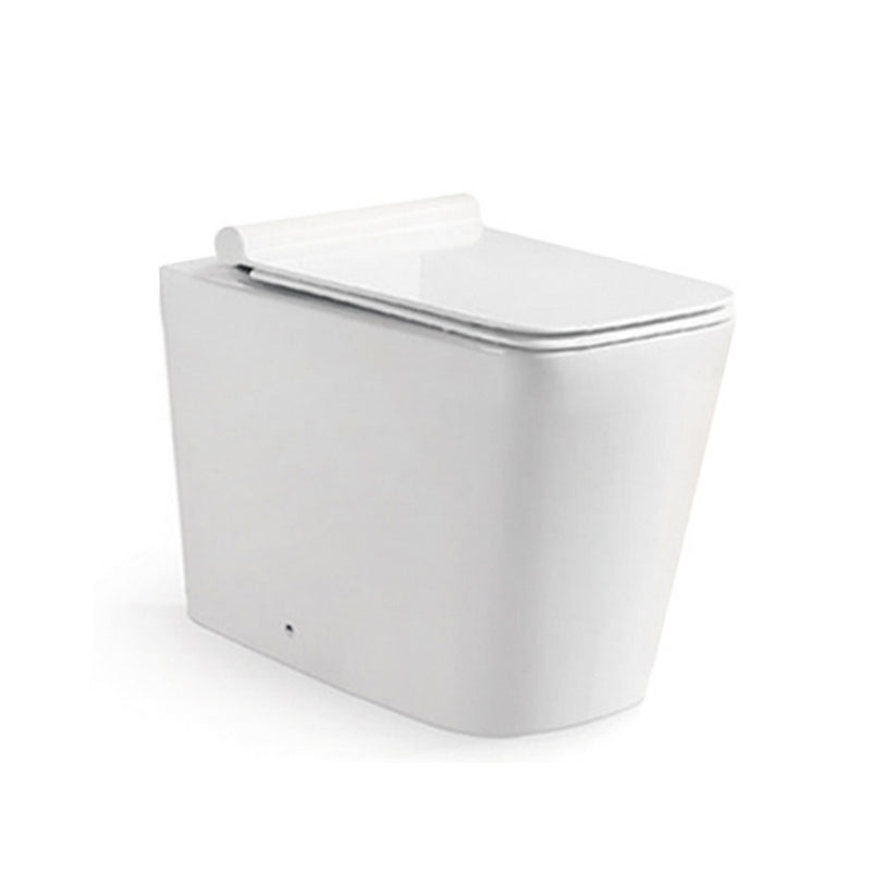 Back to Wall Toilet with Soft Close UF Seat Cover -Tapron