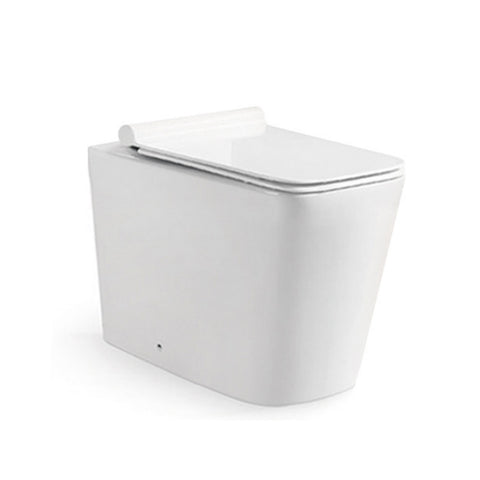 Back to Wall Toilet with Soft Close UF Seat Cover -Tapron