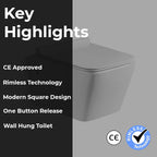 Wall Hung Toilet-Tapron