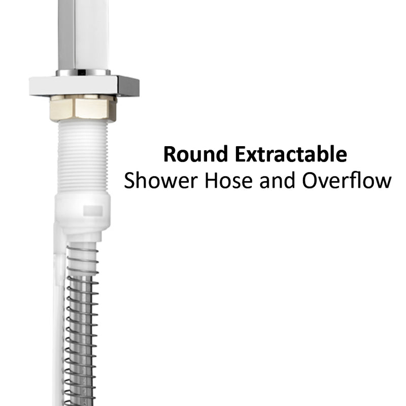 hand held shower head and hose