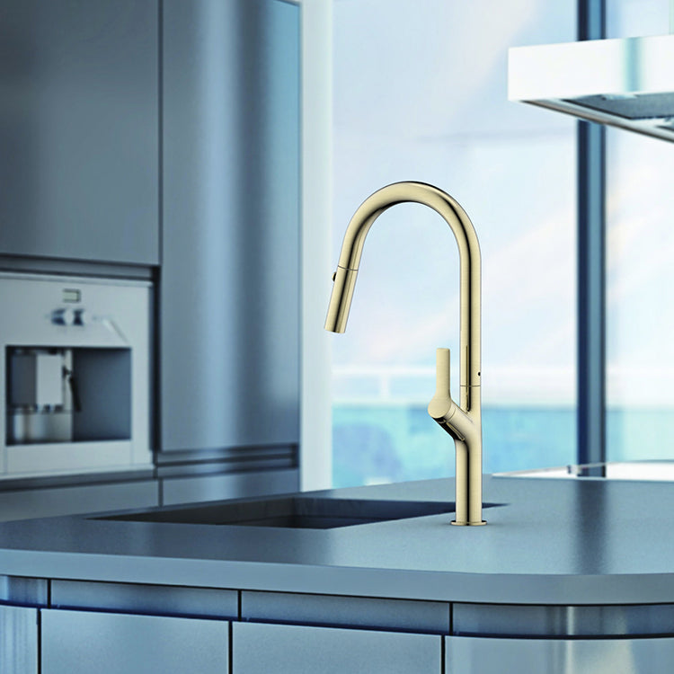 Tapron Gold Pull Out Kitchen Tap with Dual Spray [TABB101] Main image
