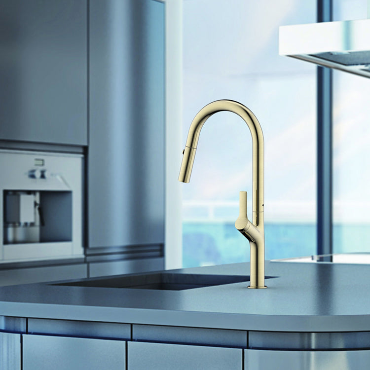 Tapron Gold Pull Out Kitchen Tap with Dual Spray [TABB101]