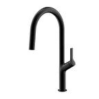 Black Kitchen Tap