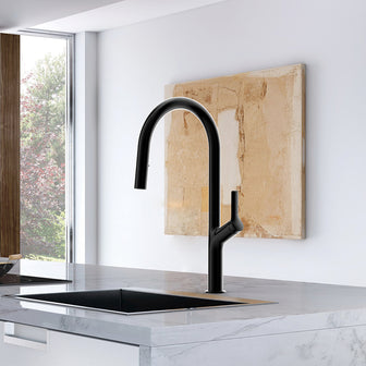 Tapron Black Kitchen Mixer Tap with Pull Out Spray - Matt Black Finish Main image