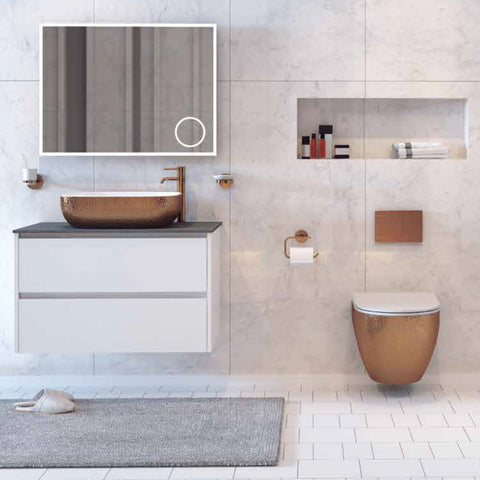 wall hung toilet with soft close seat