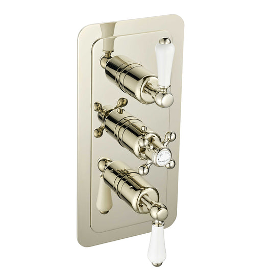 Concealed Thermostatic Shower Valve - Tapron 1000