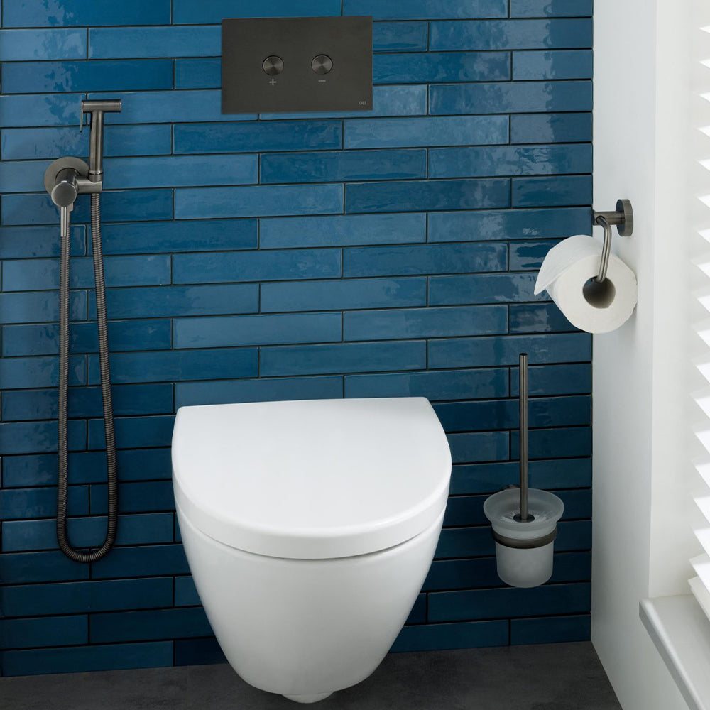 black toilet flush plate