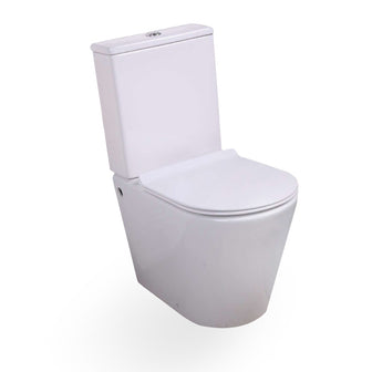 Traditional Close Coupled Toilet with Soft Close UF Seat Cover, Dual Flush Cistern-tapron Main image