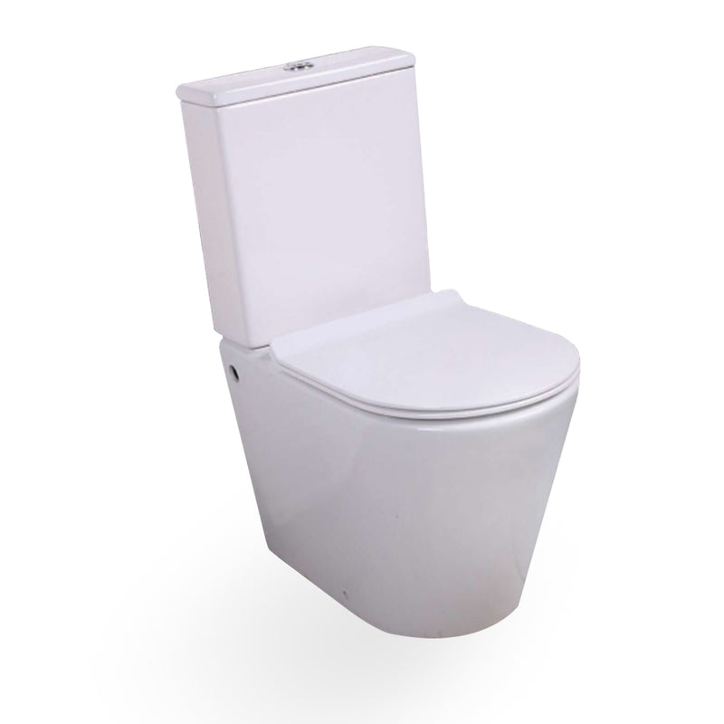 Traditional Close Coupled Toilet with Soft Close UF Seat Cover, Dual Flush Cistern-tapron