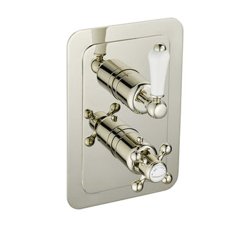 Victorian 2-Outlet Vertical Thermostatic Shower Mixer Valve - Brushed Nickel Secondary image
