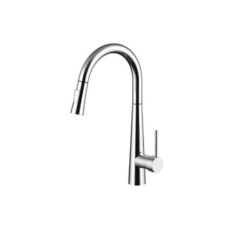 Modern Veneto Single Lever Kitchen Mixer Tap with Pull Out Spray Main image