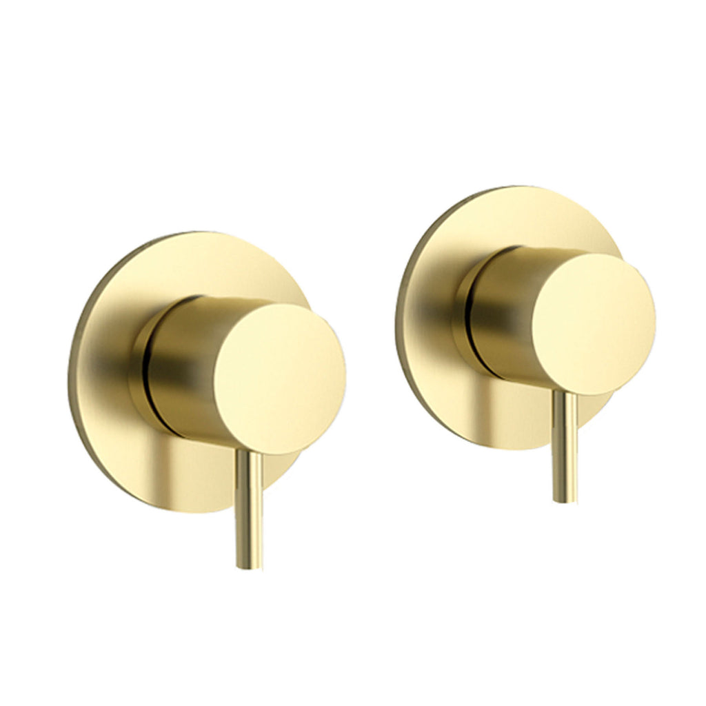 Modern Brushed Gold Shower Valve   Brass Finish