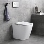 back to wall bidet toilet