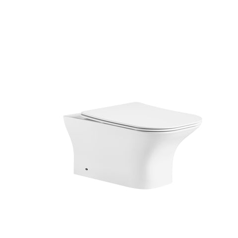 Back to Wall WC Pan with UF Single Button Seat Cover 