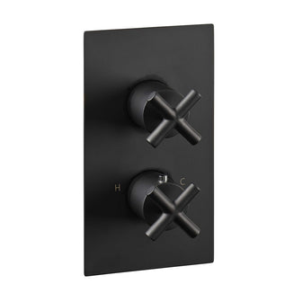 Black Thermostatic Concealed 1 Outlet Shower Valve - Tapron Main image