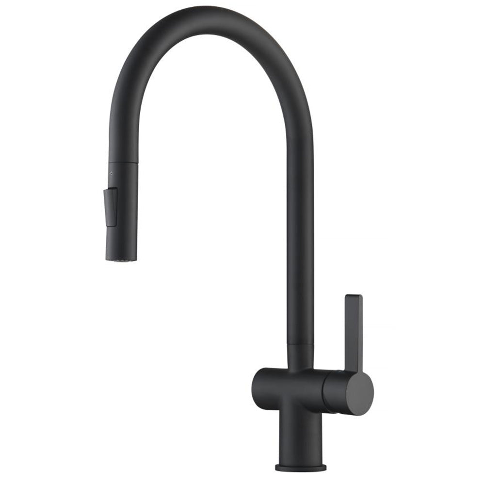 black kitchen mixer tap with pull out spray