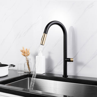 kitchen sink mixer tap - Tapron Main image